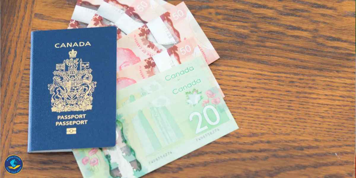 هزینه‌ پیکاپ ویزای کانادا.jpg