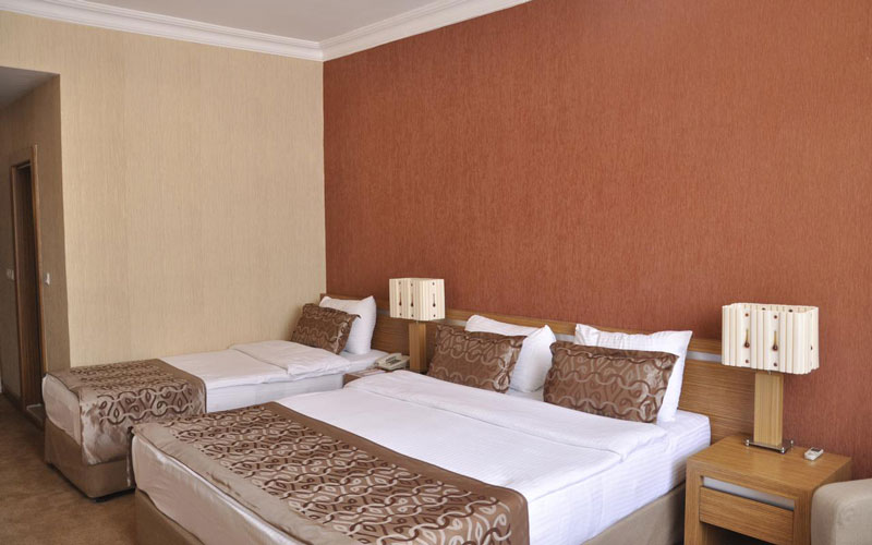 اتاق هتل 4 ستاره تامارا بیزینس وان Tamara Hotel Van.jpg