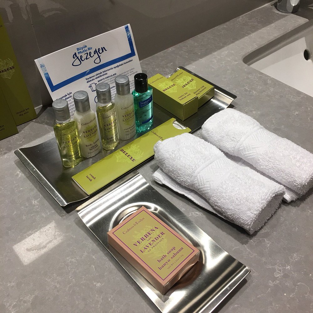 05-هتل-5-ستاره-هیلتون-باکرکوی-استانبول-بهداشتی بهداشت-Bathroom-Hotel-5-Setare-Hilton-Bakirkoy-Istanbul.jpg