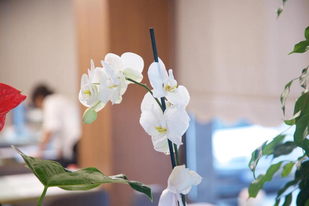 هتل-4-ستاره-تانگو-تکسیم-استانبل-نمای-اتاق-Hotel-4-Setare-Tango-taksim-Room17-min.jpg