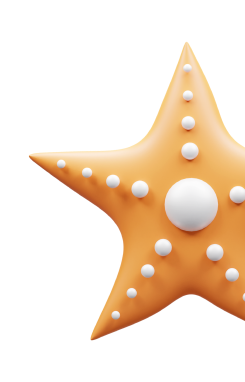 summer items in background